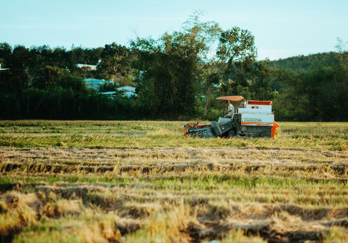 Buyer safety checklist for agricultural marketplaces